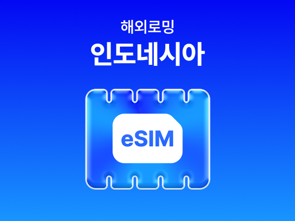 [인도네시아] eSIM 데이터 무제한 (500MB)